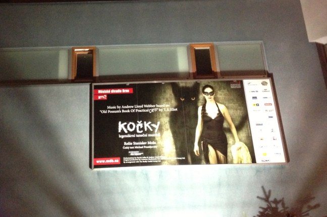 Billboard for "Cats" in Brno