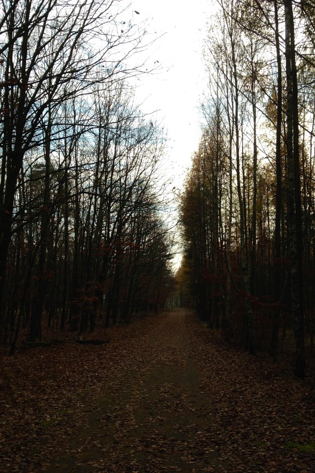 November Hike in Podyjí National Park