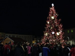 Znojmo's Christmas Tree