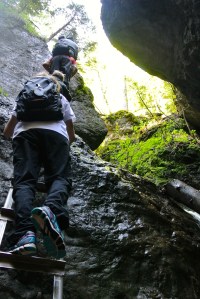 Climbing up a Waterfall