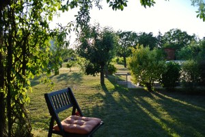 Hana's Garden at Sunset