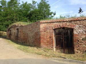 Abandoned Wine Cellars in the Hill