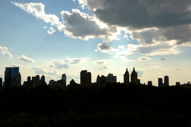 Met Museum Skyline