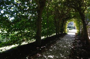 My Favorite Spot in the Governor's Palace Gardens