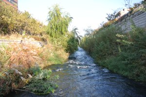 Cheonggye Stream