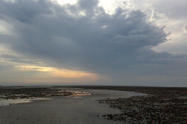 The Beach in Worthing