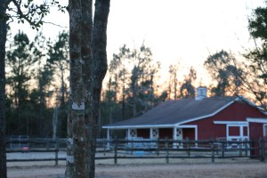 Barn Sunset