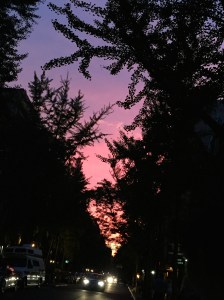 A Surprise After my Spanish Class in NYC