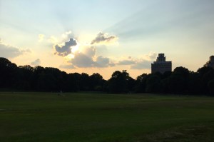 A Welcome Moment of Relaxation in Prospect Park, Brooklyn