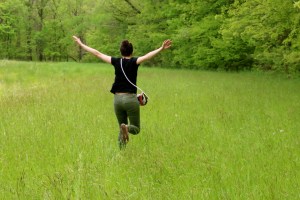 Evansburg State Park