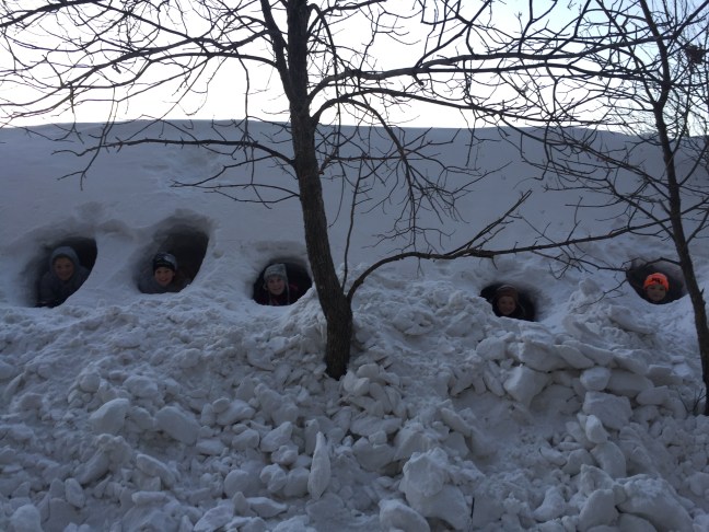 North-dakota-snow-fort
